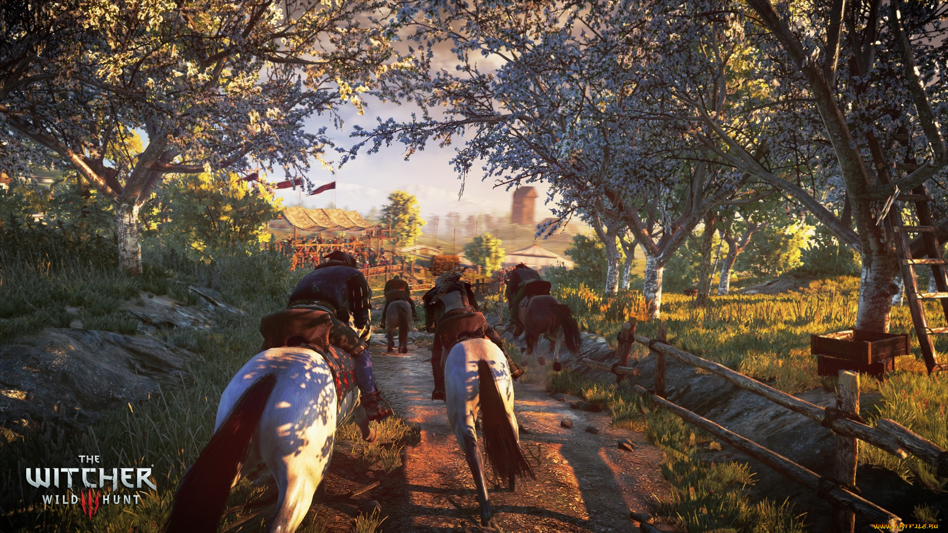 the witcher 3,  wild hunt,  , 